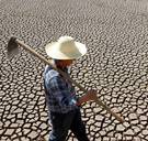 Hitte wordt nog deze eeuw dodelijk in oosten van China