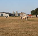 Stapje dichter bij erkenning landbouwramp: KMI noemt droogte “uitzonderlijk”