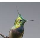 5 programma's die u vanavond écht niet wilt missen