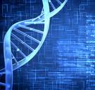 Charles Darwin versus Alzheimer: kan een ziekte door natuurlijke selectie worden uitgeroeid?