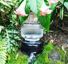 Amerikanen willen veel geld neertellen voor 'rauw water': hip maar gevaarlijk