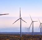 Chili toont de hele wereld hoe de groene revolutie kan slagen