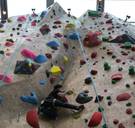 Een op de drie Vlaamse sportfederaties krijgt een buis voor 'goed bestuur'. Moet het allemaal professioneler?