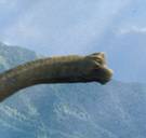 Geologen zien voortekenen van massa-extinctie