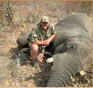 Jachttrofeeën van olifanten importeren uit Zambia of Zimbabwe was verboden in de VS. Trump draait dat terug