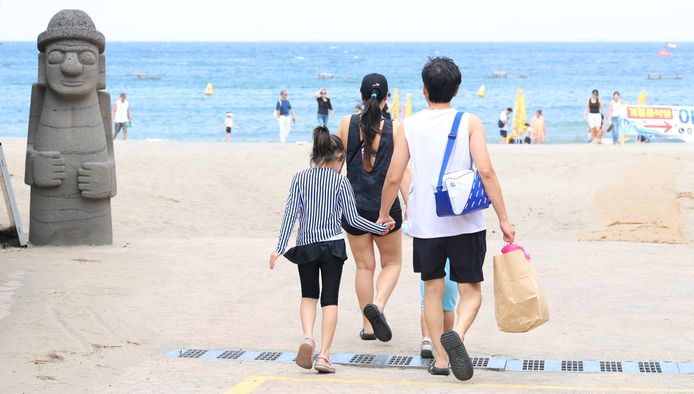 Collage Van De Kaart Van De Druivenwijn Van Koreaans Jeju-Eiland En