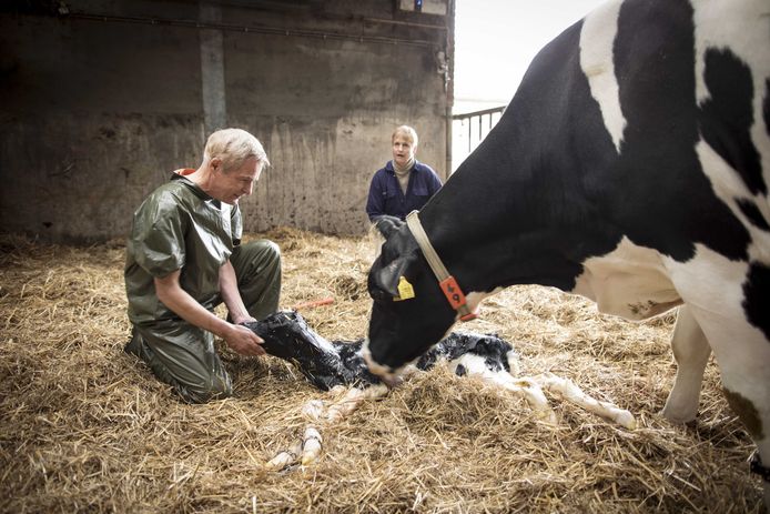 Trailer Van Twentse Speelfilm De Beentjes Van Sint Hildegard Gelanceerd Enschede Tubantia Nl