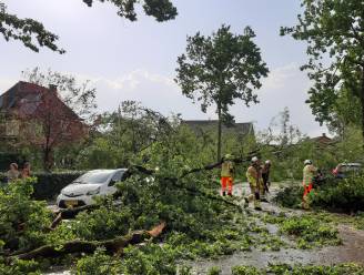 Bossen rondom Leersum na storm bestempeld tot ‘levensgevaarlijk gebied’