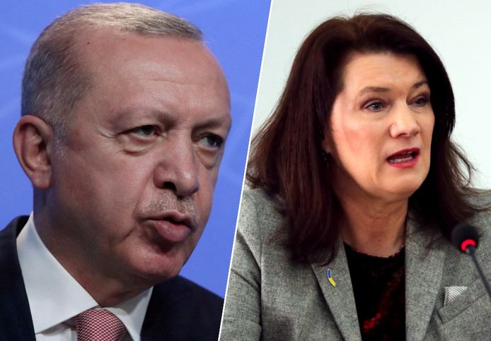 President van Turkije Recep Tayyip Erdogan en Zweeds minister van Buitenlandse Zaken Ann Linde.