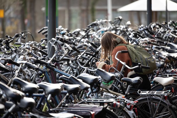 Zo je de beste studentenfiets voor | AD.nl