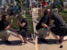 Scène cocasse à Disney World: un couple fait sa demande en mariage en même temps