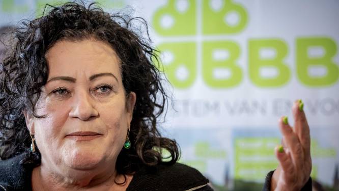 Waar stáát BBB voor? Zo denkt de partij over asielzoekers, Lelystad Airport en de wolf