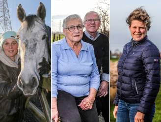 REPORTAGE. D-day voor Ventilus, maar is wonen onder hoogspanning zo gevaarlijk? “Schrik heb ik niet, maar ik slaap wel al 15 jaar in een andere slaapkamer achteraan het huis”
