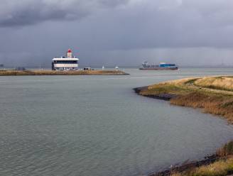 Alarmerende PFAS-vervuiling in Westerschelde: vissen overschrijden tot 813 keer de norm, maar ook Antwerps kraantjeswater gevaarlijk dicht bij norm