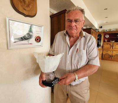 Marter bijt 14 duiven van duivenmelker Marcel (78) dood: “Een van hen was enkele duizenden euro’s waard”