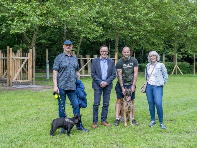 Hondenlosloopweide in park Kerkwijck is eerste in centrum: “Plezier voor dieren maar ook hogere sociale controle”