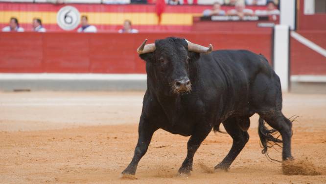 Drama op Spaans festival: stier doorboort man (26), slachtoffer sterft in ziekenhuis
