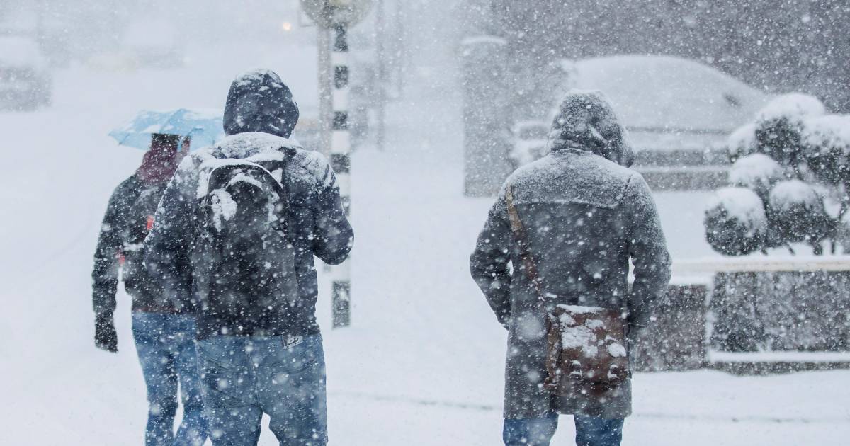 Siberische kou en sneeuw op komst, schaatsen kunnen uit ...