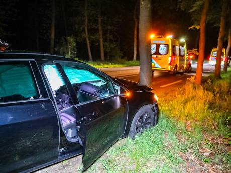 Automobilist wijkt uit voor dier en belandt tegen boom bij Epe
