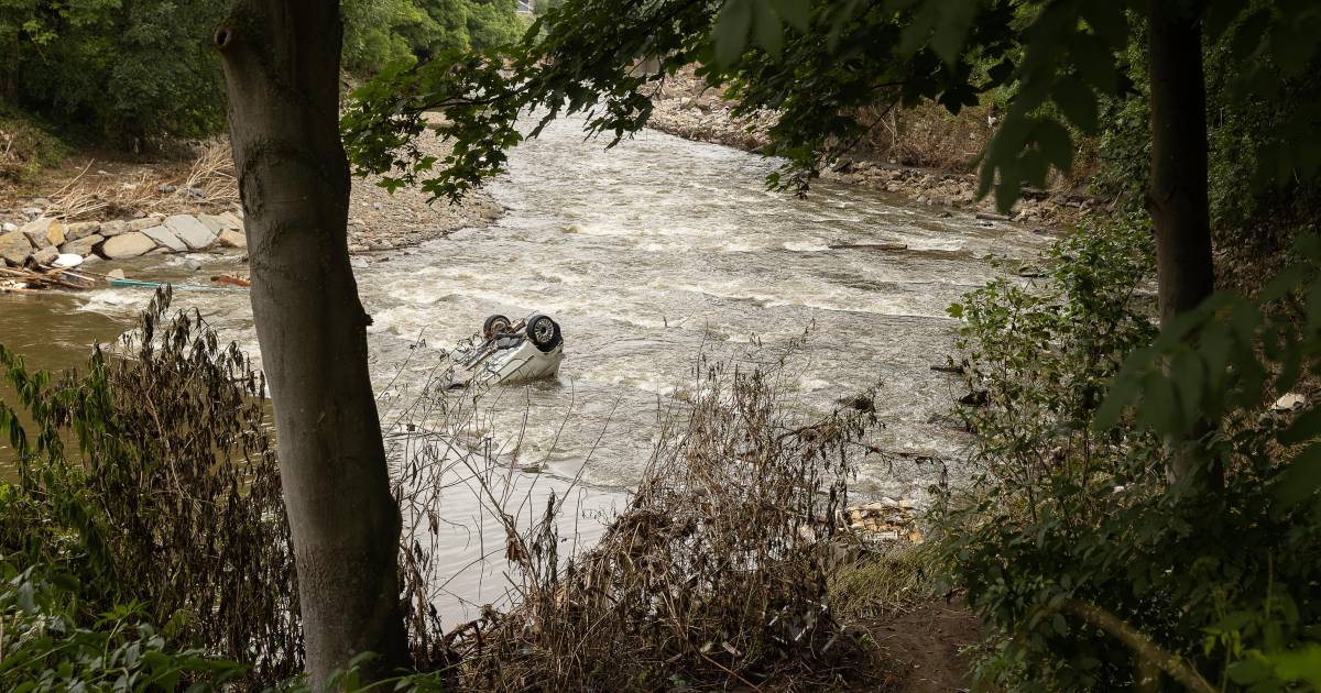 cinq jeunes retrouves morts dans une voiture au fond d un lac a saint raphael faits divers 7sur7 be
