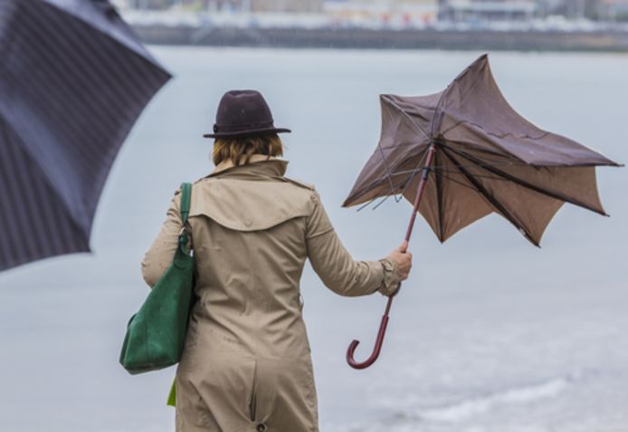 Vanavond is de wind vrij krachtig tot krachtig en aan zee zeer krachtig uit zuidwest ruimend naar west. Het KMI verwacht rukwinden van 70 tot lokaal 85 km/u.