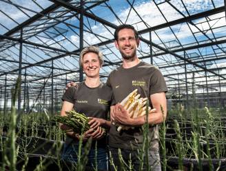 Hoe komt het dat er al witte asperges verkrijgbaar zijn, ook al is het seizoen nog niet gestart? En heeft het witte goud ook ‘last’ van de inflatie?
