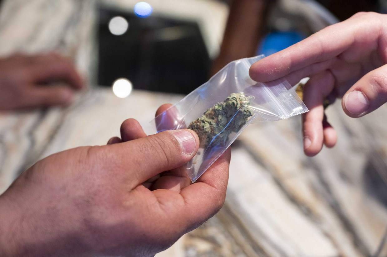 Wiet in een Amsterdamse coffeeshop. Beeld ANP