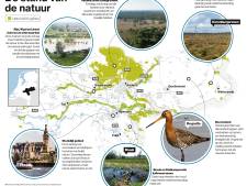 Kwetsbare Veluwe staat er slecht voor: ‘Het is dweilen met de kraan open’