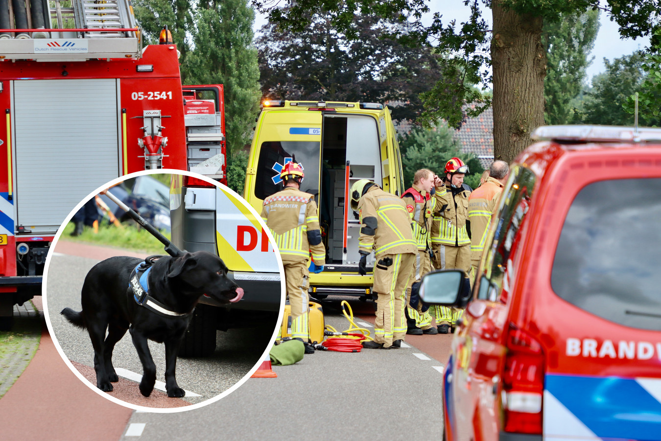 Een hondengeleider van de politie moet er samen met de Dierenambulance aan te pas komen om zwarte labrador Binky weg te halen bij de auto waarin zijn gewonde bazin ligt.