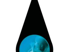 Sannes baby overlijdt na vruchtwaterpunctie: ‘Hoe kun je de gevolgen overzien van prenataal testen?’