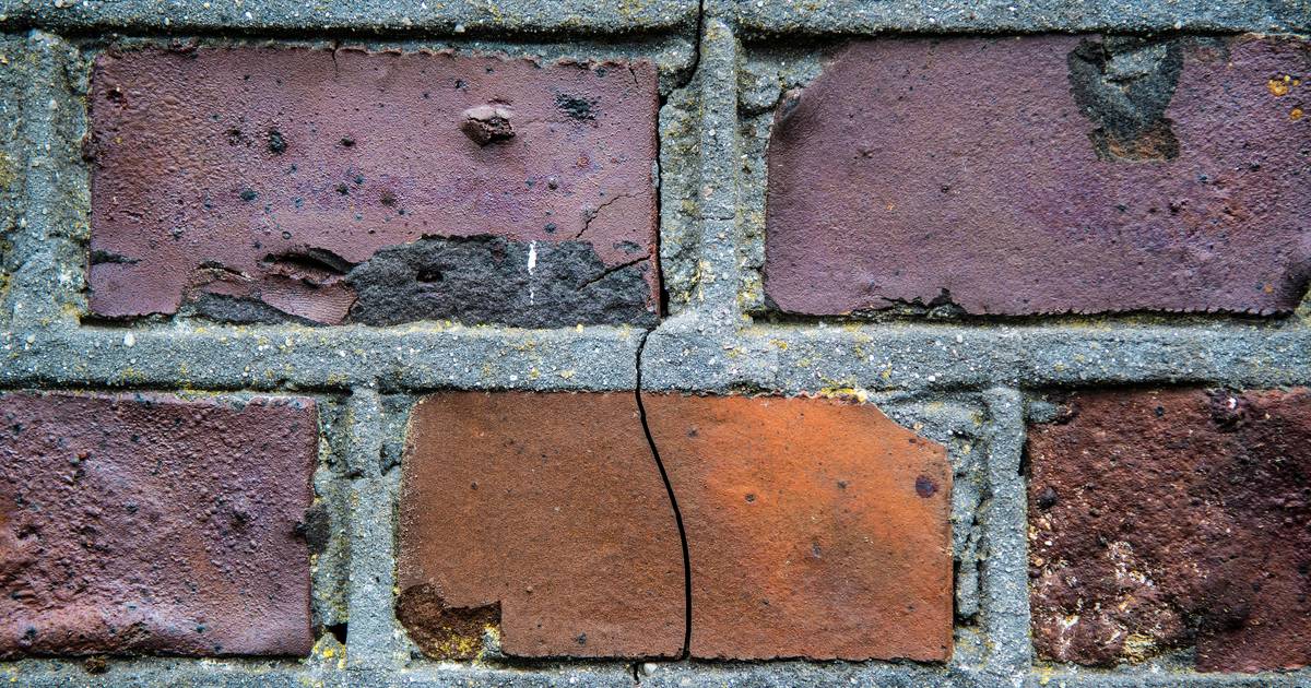 Lichte aardbeving in de buurt van Staphorst: ‘Niks van gemerkt, we slapen rustig vannacht’