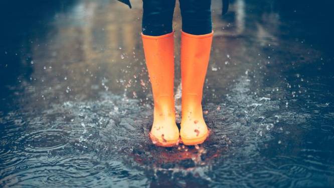 WEERBERICHT. Code geel: regenachtige dag met hier en daar een donderslag, lokaal windstoten tot 70 kilometer per uur