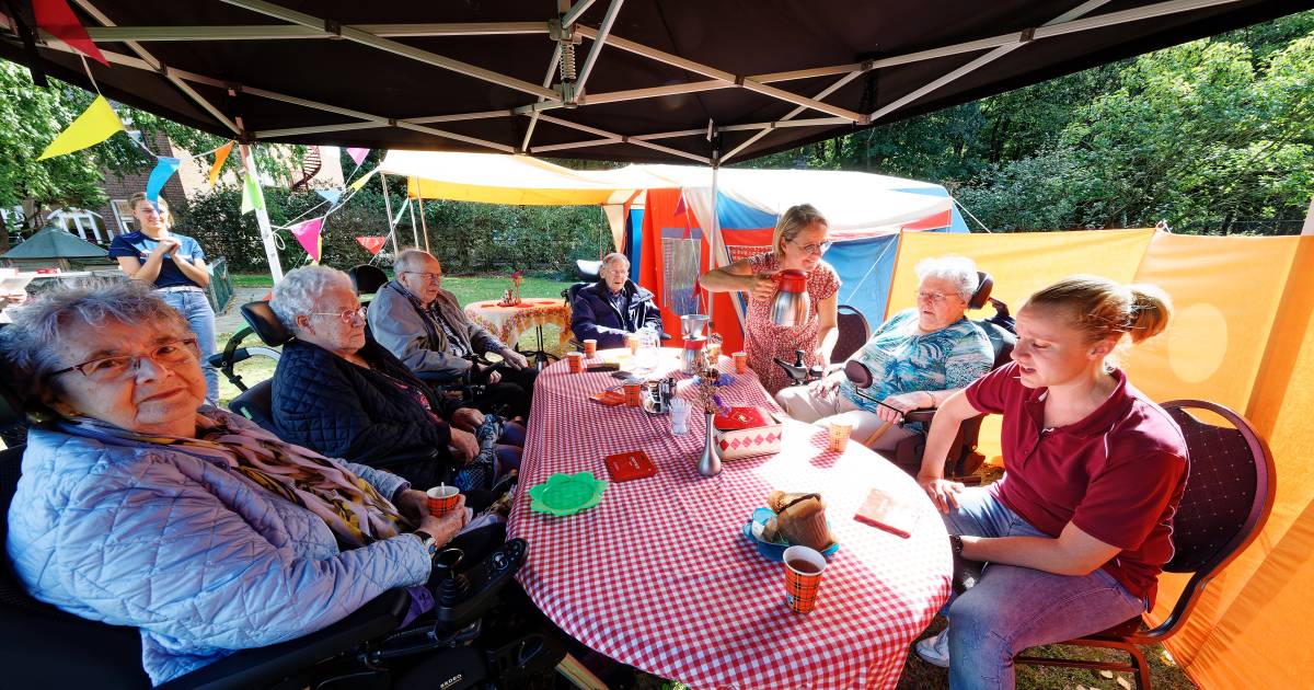 Naast de bungalowtent borrelen de vakantieherinneringen spontaan weer op - De Gelderlander