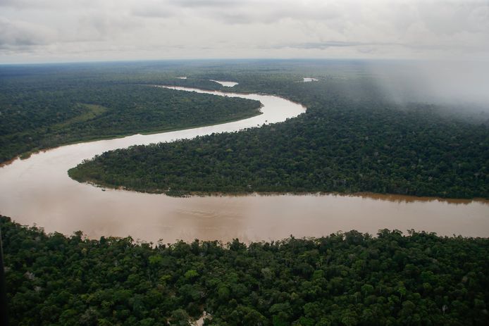 De Itaquai-rivier meandert door de Javari-vallei in het noordwesten van Brazilië.
