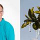 ‘Toch uitkijken voor nachtvorstschade’