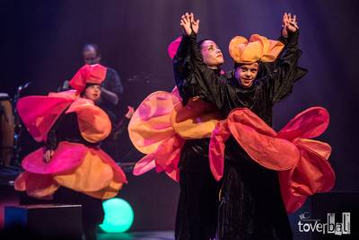 Ingrijpen nodig voor toekomst Toverbaltheater Beneden-Leeuwen