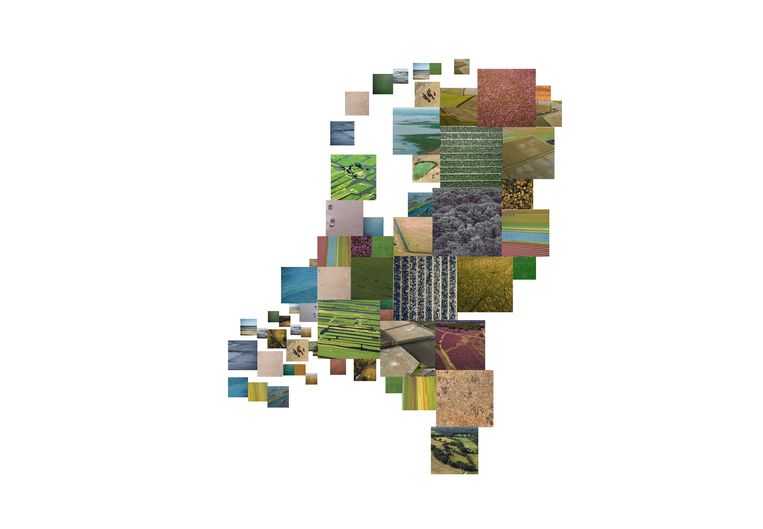 Heeft Nederland nu te weinig of te veel natuur? - Trouw