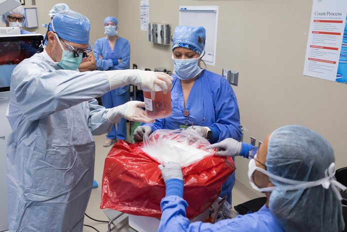 Kankerpatiënt kan opnieuw spreken na zeldzame strottenhoofdtransplantatie: “Ik  wil dat mensen weten dat het mogelijk is” | Buitenland | hln.be