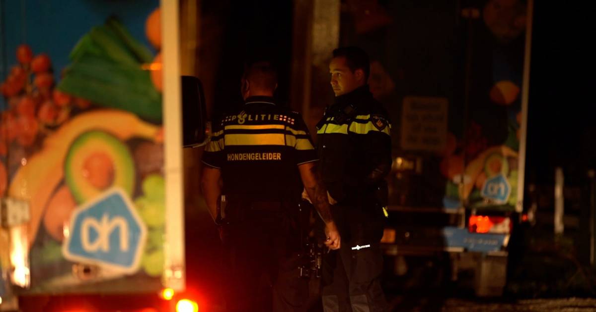 Buurt schrikt van grote politieactie om ‘overval' in Epse: ‘Dacht dat er iets ergs was gebeurd met mijn man'.