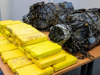 Weer prijs in de Gentse haven: 560 kilogram cocaïne onderschept in fruitsapvaten op Braziliaans schip