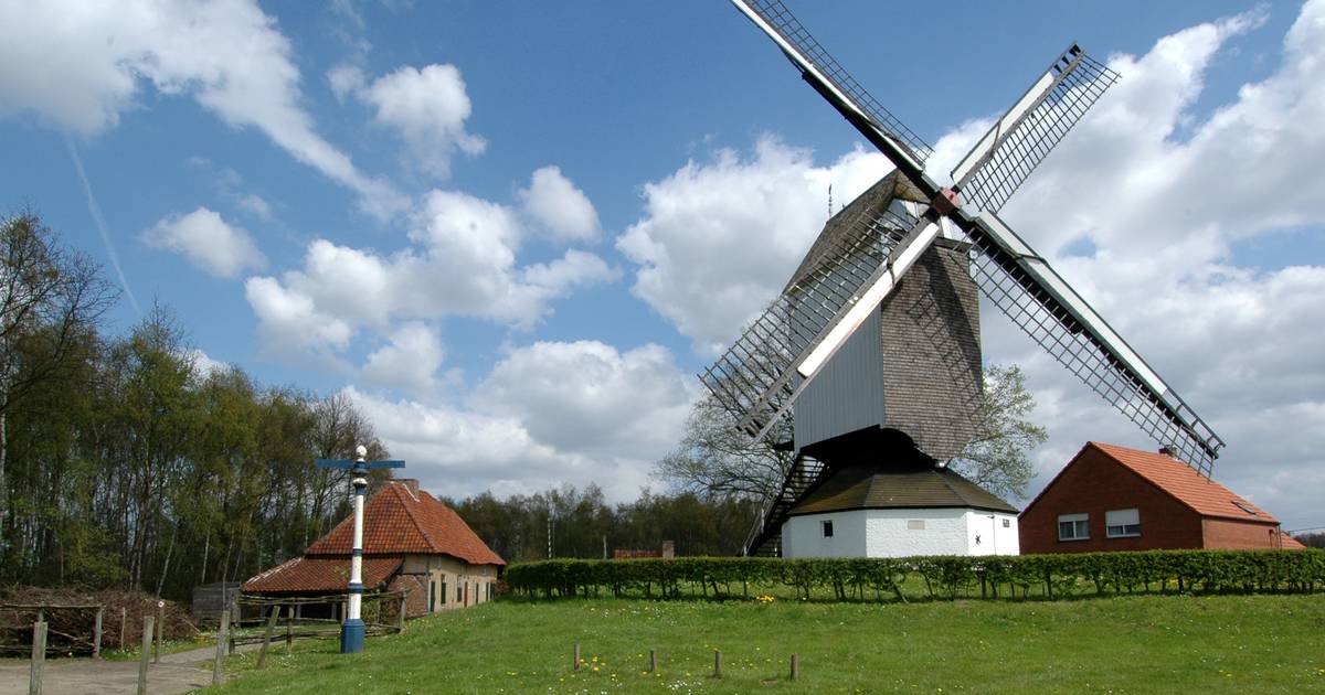 Kaasstrooimolen krijgt renovatie: “Een volledige vervanging van de ...