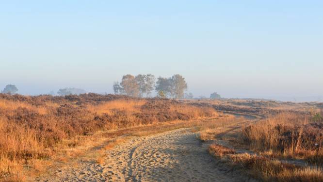 Nieuw masterplan voor Nationaal Park Kalmthoutse Heide blijft op verzet stoten: “Nog altijd veel onzekerheden”