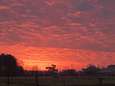IN BEELD. Saharazand kleurt Vlaamse zonsopgang rood