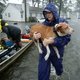 Vernietigende storm Florence eist elf doden, en blijft gevaarlijk