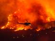 Tientallen mensen geëvacueerd tijdens branden bosgebied VS