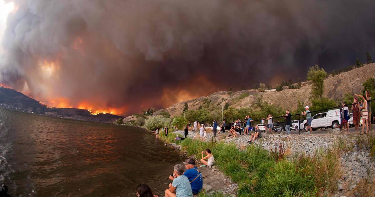 Несколько лесных пожаров в этом году приведут к рекордным выбросам в Северном полушарии.  среда