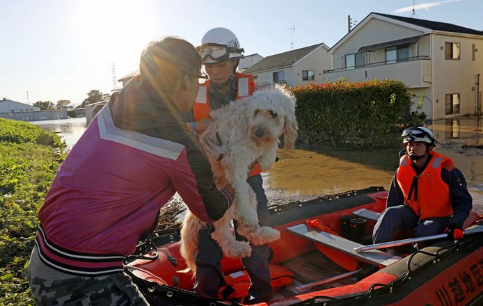Reddingswerkers vervoeren een man en zijn hond in Kawagoe, in de prefectuur Saitama.