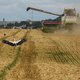 De Oekraïense export bleef door de graandeal met Rusland overeind — en de graanprijs daalde