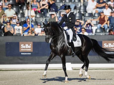 Paniek in hippische wereld: ‘Er gaan paarden dood’