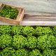 Gaat 15 procent biologische landbouw in 2030 lukken?
